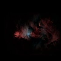 Cone Nebula