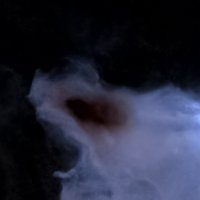 Shark Nebula