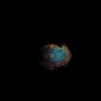Monkey Head Nebula