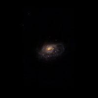 NGC 1961