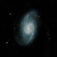 NGC 3359