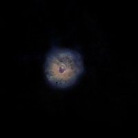 Little Rosette Nebula