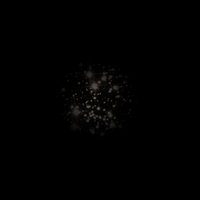 NGC 663