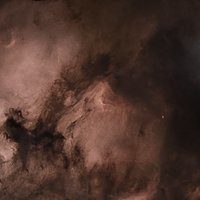Pelican Nebula