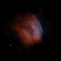 Valentine Rose Nebula