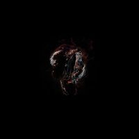 Cygnus Loop